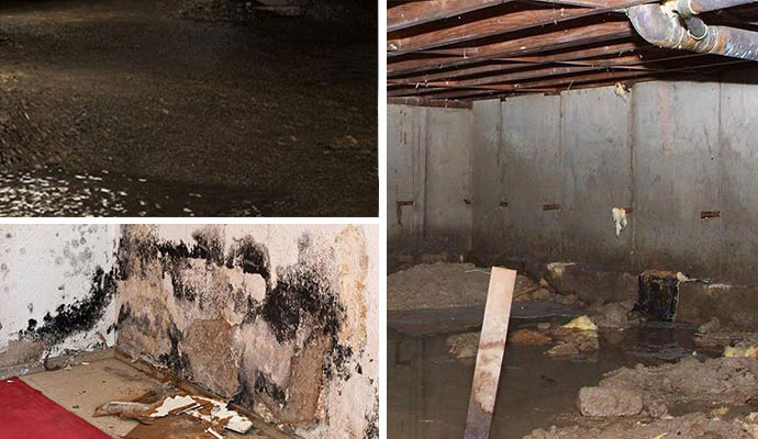 Causes of Crawl Space Mold