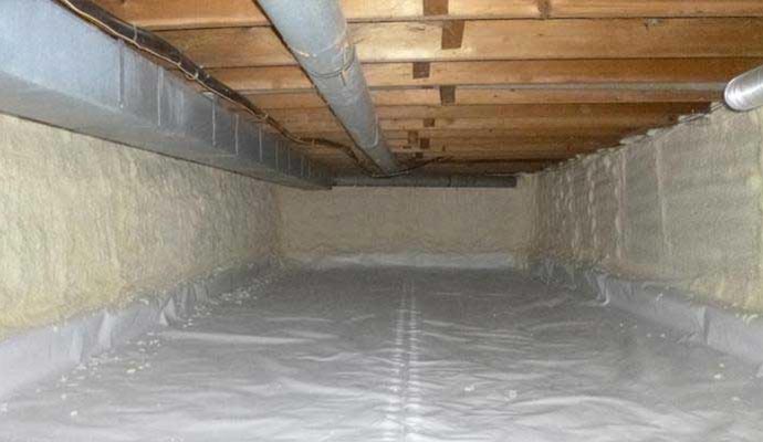 Signs of Crawl Space Mold