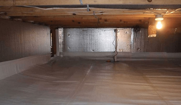 Crawl Space Mold Removal Service