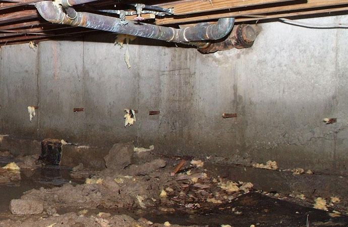 Signs of Crawlspace Structural Damage