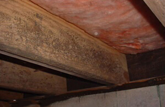 What Causes Moisture In Crawl Space