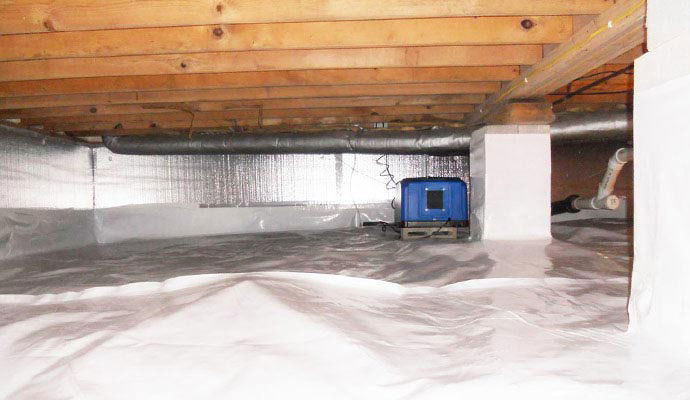 Mold in Wood Crawl Space in Your Area